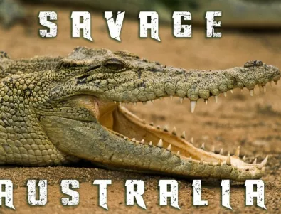Дивата Австралия по VIASAT NATURE, Австралийски търсачи на злато - нов сезон - по VIASAT EXPLORE