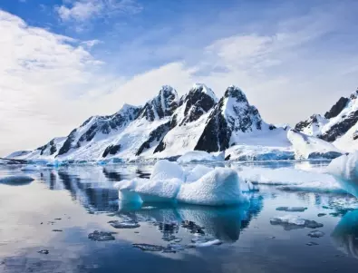 Откриха неизвестни животни под ледовете на Антарктида