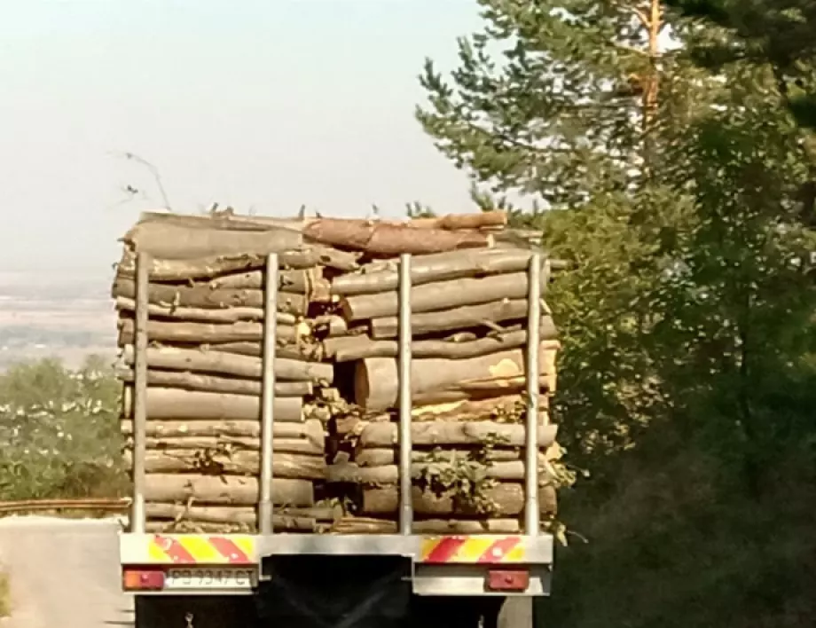 След преследване задържаха камион с незаконна дървесина 
