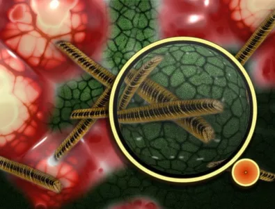 Какво е хемоглобин и какво трябва да знаем за него
