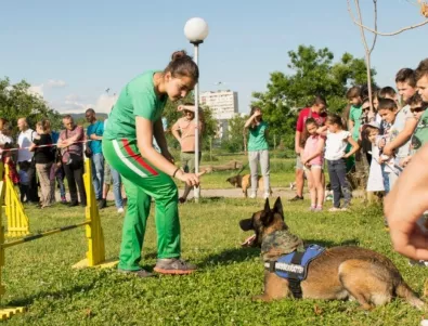 „Да играем заедно!” - празник за деца и кучета в Стара Загора