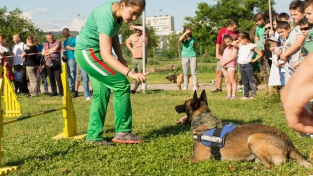 „Да играем заедно!” - празник за деца и кучета в Стара Загора