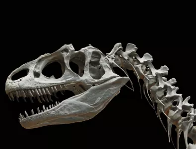 Пресъздадоха изцяло динозавър 162 години след откриването му 