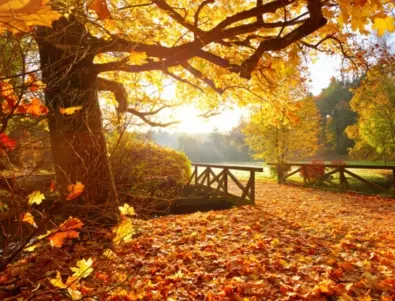 Златна есен: По-топло от обичайното време през октомври