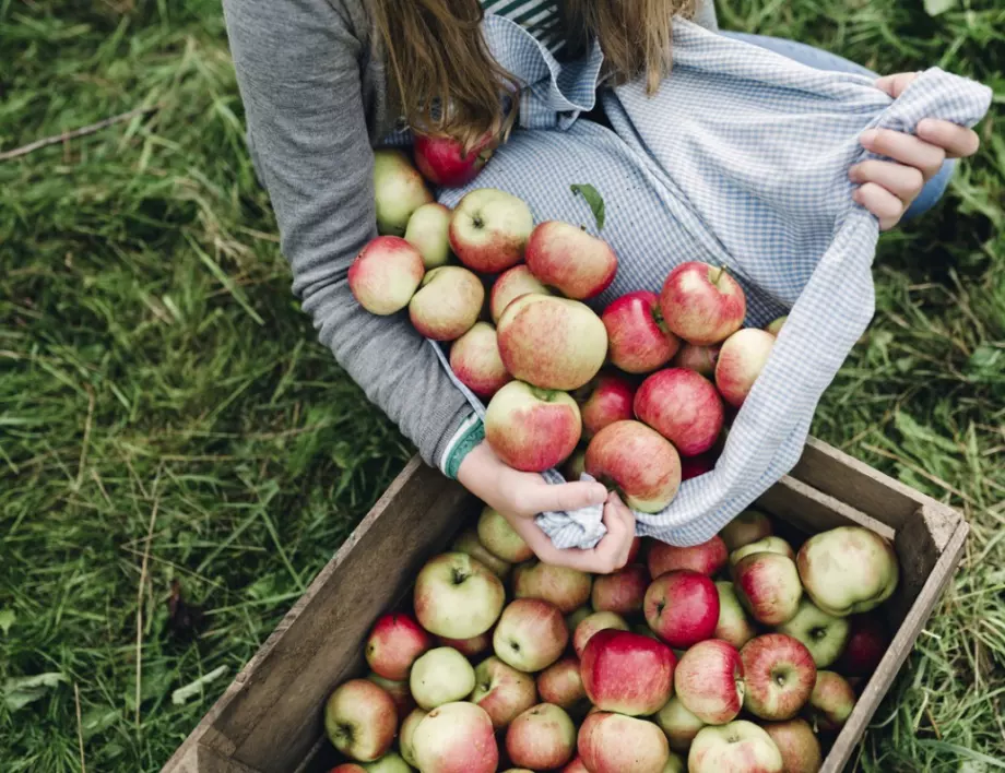 5 изумителни свойства на ябълковата кора