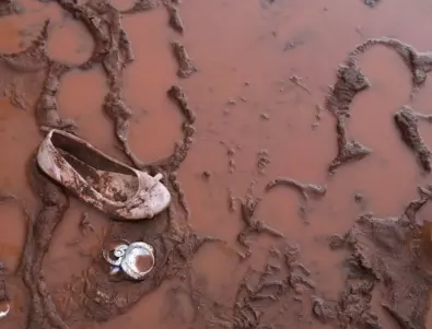 Репортаж: Стотици роми берат череши за 32.ст/кг и спят в калта под найлони