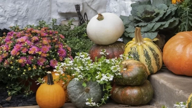 Докога ще се запази хубавото време 