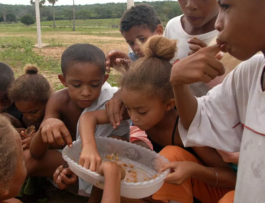 The Guardian: Коронавирусът ще увеличи световния глад