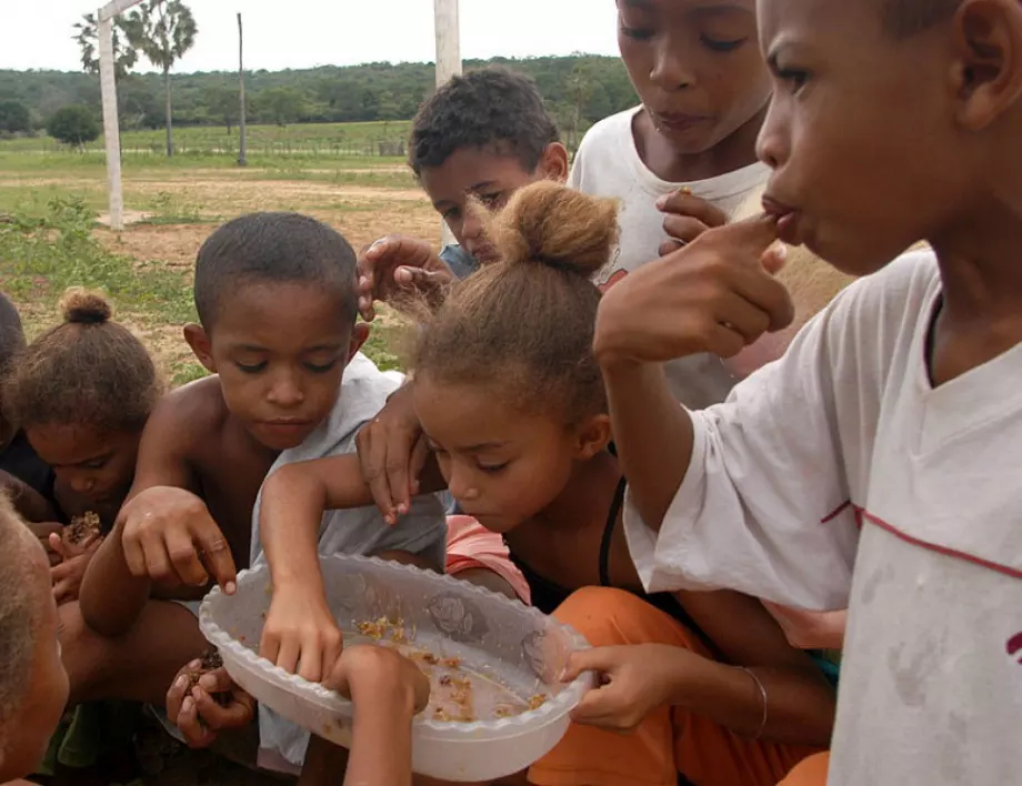 ООН: Нови 45 милиона души в света ще се сблъскат с глад и недостиг 