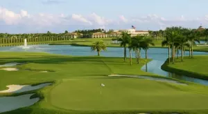 2019/10/17/0896368001571341693