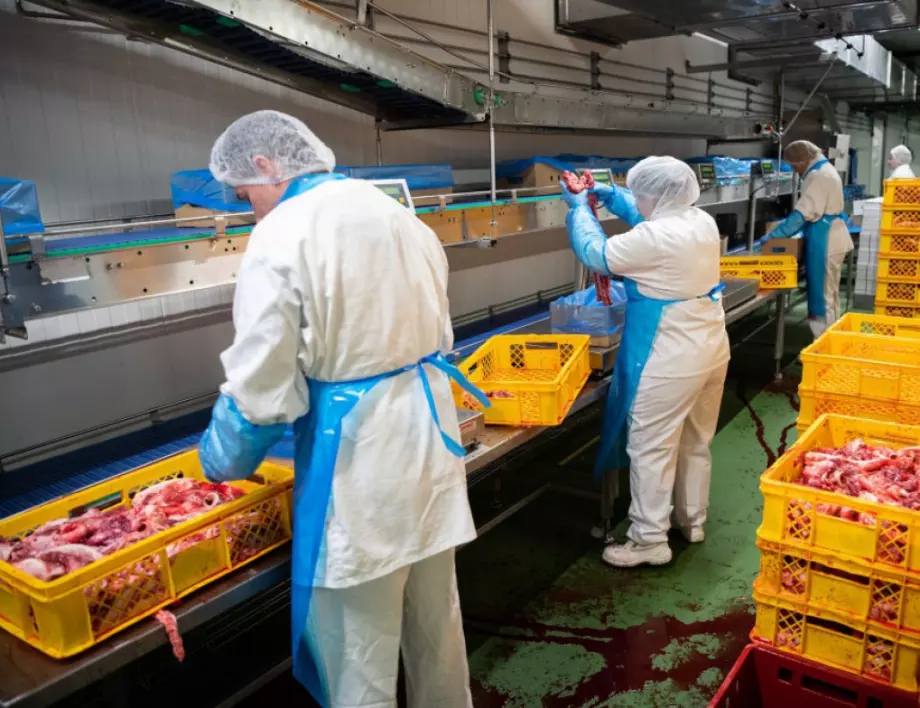 Най-големият производител на свинско месо в Европа затвори кланица заради коронавируса