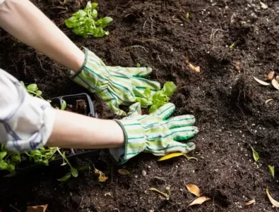 Ето как да разберете дали почвата в градината ви е глинеста