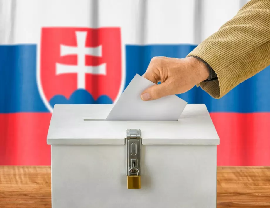 Конституционният съд в Словакия отмени строгата забрана за социологическите проучвания