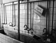 Открит е металургичният комбинат Кремиковци