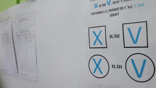 България през 2019 г.: Местните избори