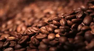 Стотици хиляди тонове кафе и какао, съхранявани в складове в ЕС, са в риск