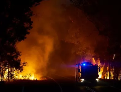 В Австралия посрещат Нова година в ужас от пожарите