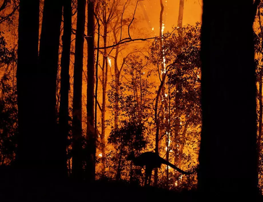 Двама огнеборци загинаха при горските пожари в Австралия