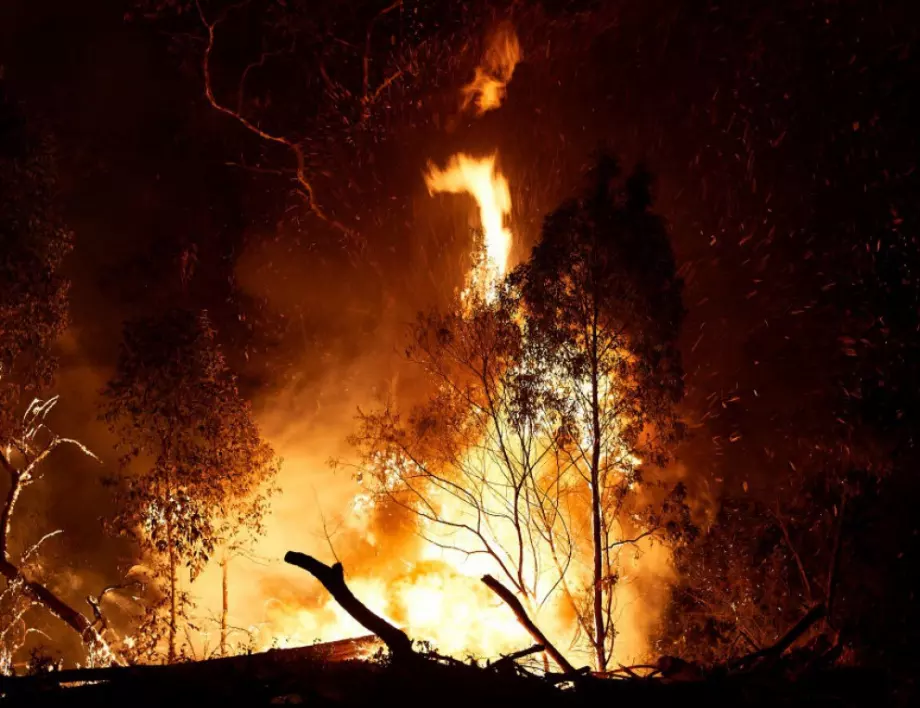 Огромни пожари бушуват в Сибир