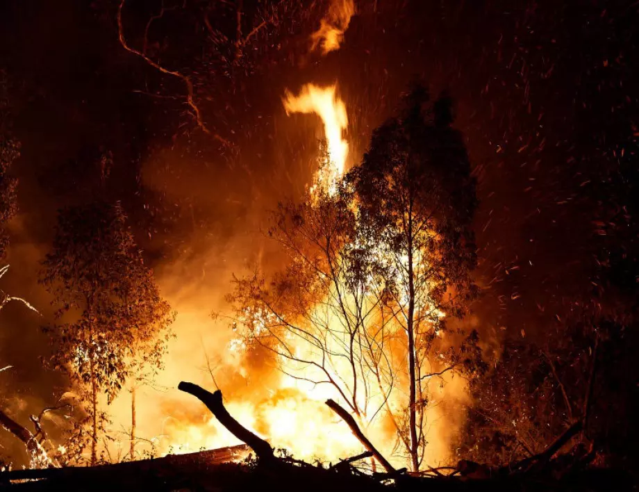 Пожарът край Свиленград върви към границата 