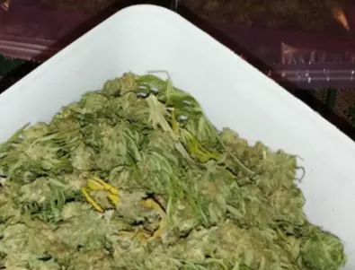 В Косово хванаха 82 кг марихуана 