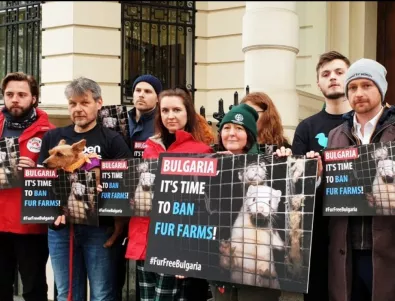 Протест пред български посолства за забраната на ферми за кожи