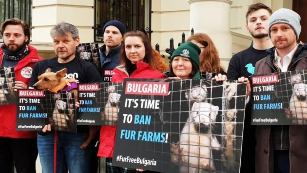 Протест пред български посолства за забраната на ферми за кожи