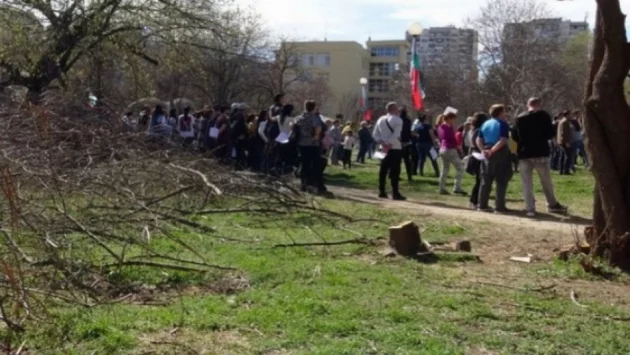  7 000 лв глоба за съсипан парк в Пловдив след продължителни протести