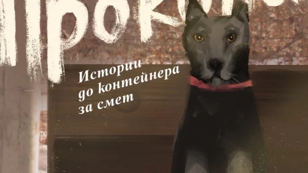 "Ставри и Прокопи" - истории до контейнера за смет