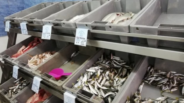 Как да познаем прясната риба и колко струва тя в Бургас?