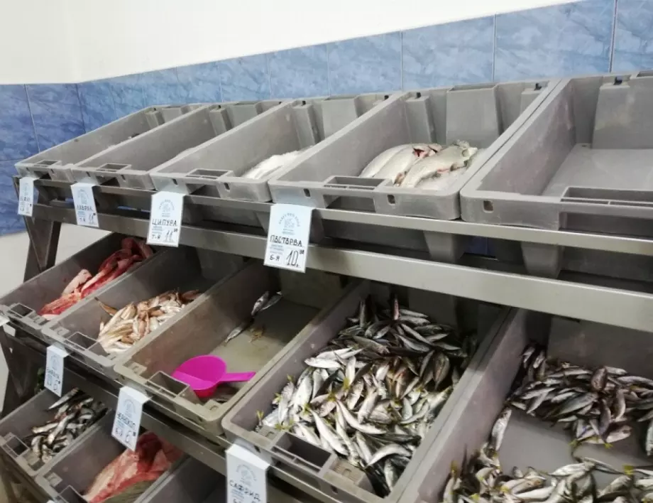 Как да познаем прясната риба и колко струва тя в Бургас?