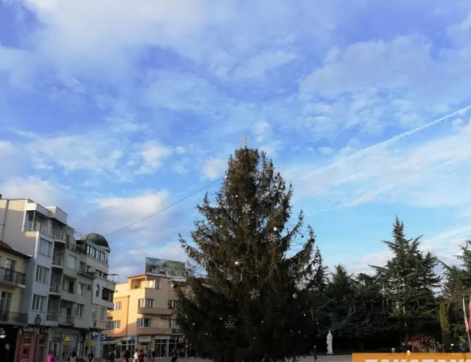Казанлъчанин подари 11-метрова елха на града си