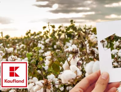 Kaufland гарантира устойчивото производство на собствените си текстилни марки чрез Глобалния стандарт за органичен текстил
