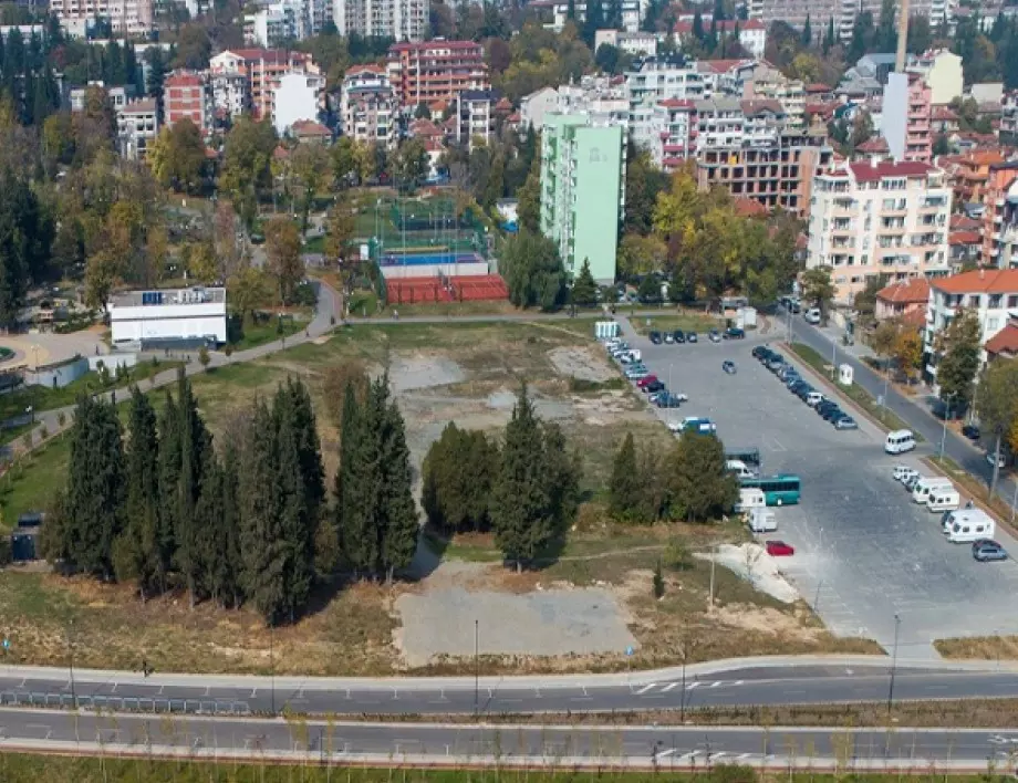 Община Стара Загора отново осигурява терен за засаждане на коледни дръвчета