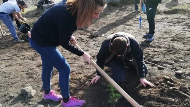 Деца, ученици и възрастни "засадиха доброто" в "Гората на живота" в Асеновград (СНИМКИ)