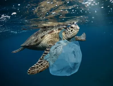 В Средиземно море са се натрупали над 1 млн. тона пластмаса