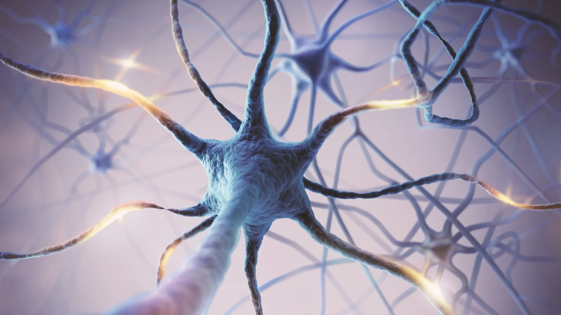 Как да регулирате нервната си система с тези топ 13 техники?