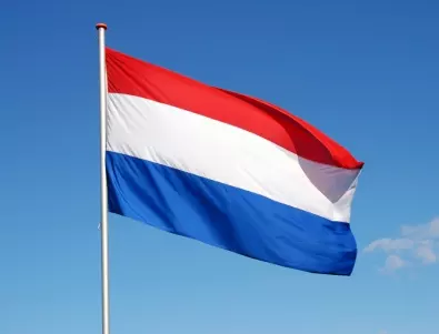 Рекорд в Нидерландия: 37 партии участват в изборите