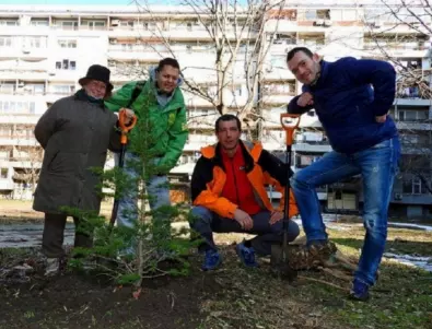 Акция по засаждане на коледни елхи ще се проведе в Бургас