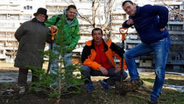 Акция по засаждане на коледни елхи ще се проведе в Бургас