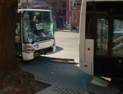  Градски автобус блъсна пешеходка на зебра в Пловдив