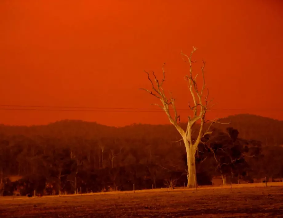 Резултатът от екологичното безумие на Австралия - пожарите