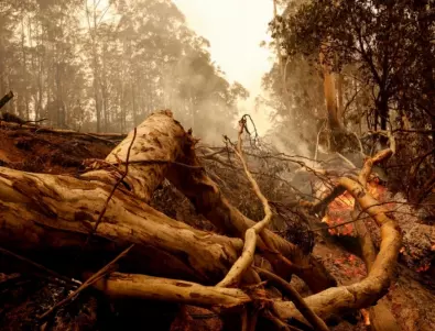 Синоптиците: След пожарите идва потоп в Австралия 