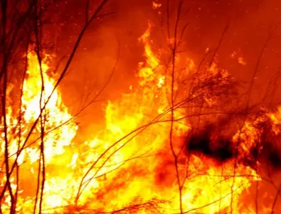 Пожар в най-големия национален парк в Полша (ВИДЕО и СНИМКИ)