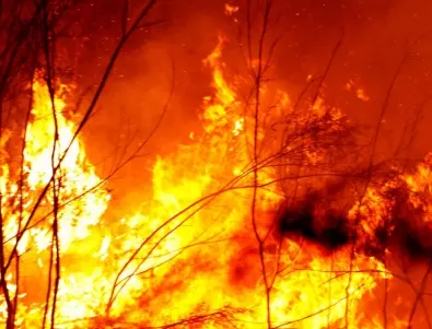 Горски пожар бушува на полуостров Атон