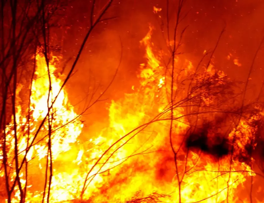 Четири пожарни гасят пожар в Пловдивско