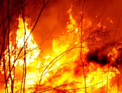 Пожар избухнал във руски военен палатков лагер близо до Украйна (ВИДЕО)