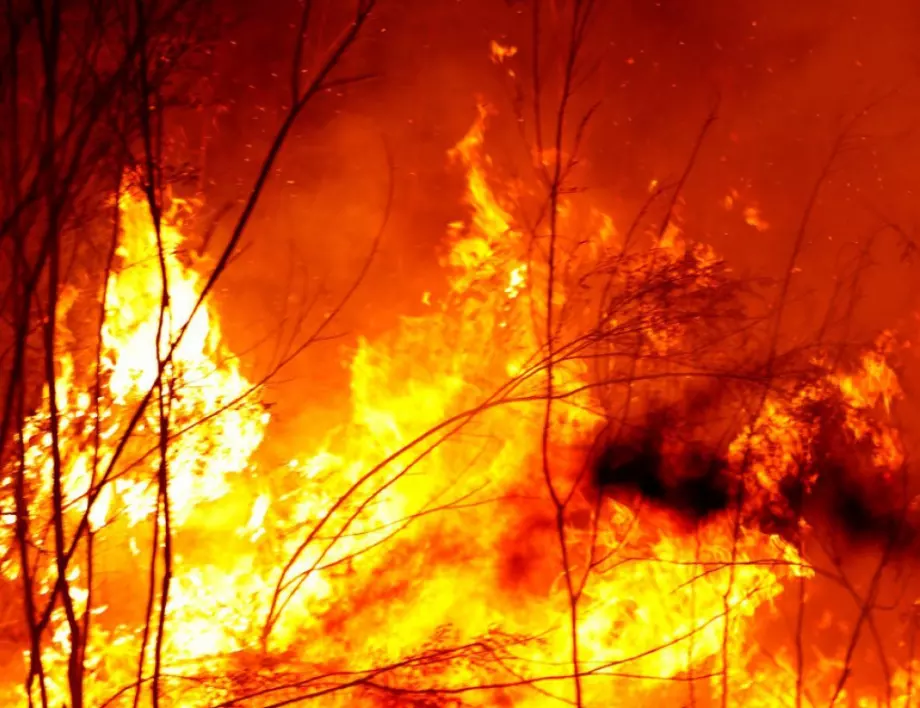 Извънредно положение в Сардиния заради тежки пожари 