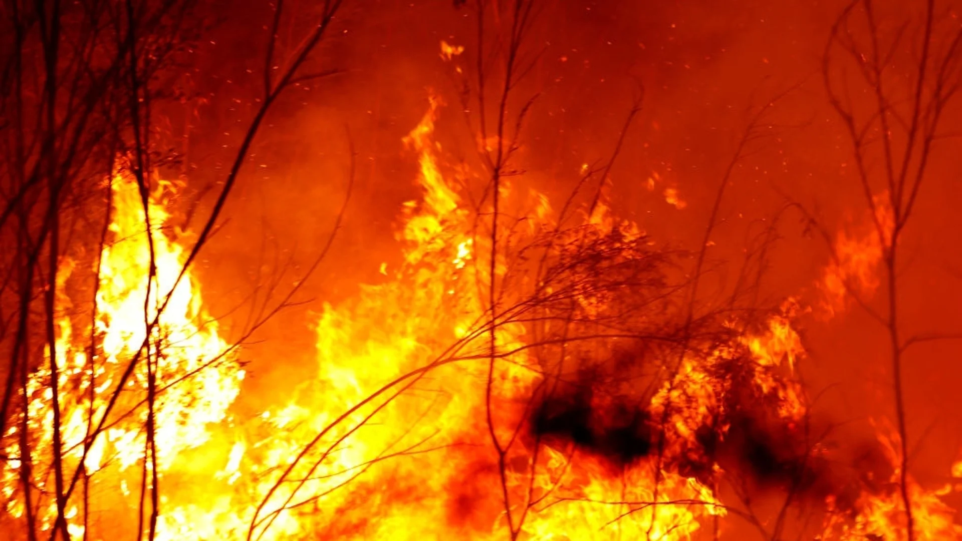 Заради традиция на Великден: Кипър трябваше да потушава над 100 пожара