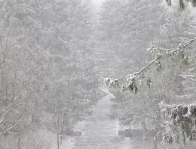 Снежна буря връхлетя североизточните части на САЩ